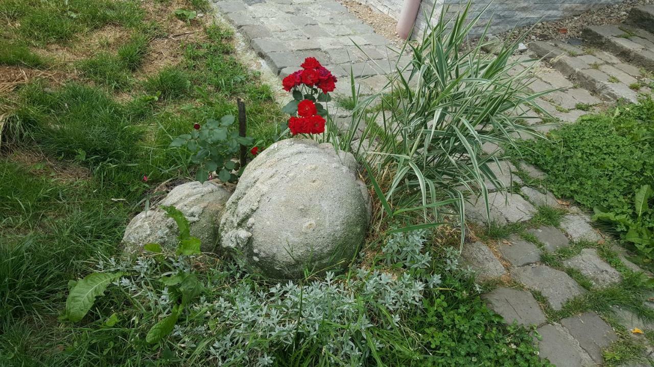 Feleacu Trovanti Apartment מראה חיצוני תמונה